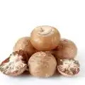 Betel Nuts